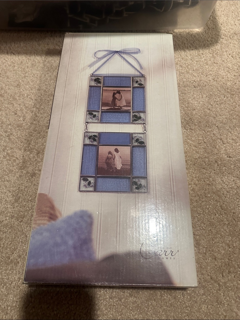 Carr 2 piece hanging frames